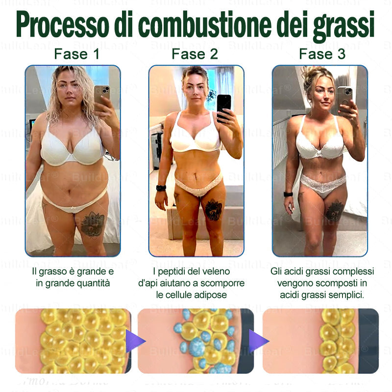 🌸 🎁🎁Congratulazioni! Hai sbloccato l'offerta a sorpresa del 50% di sconto su BuildLeaf®. È un'offerta esclusiva, non lasciartela sfuggire!